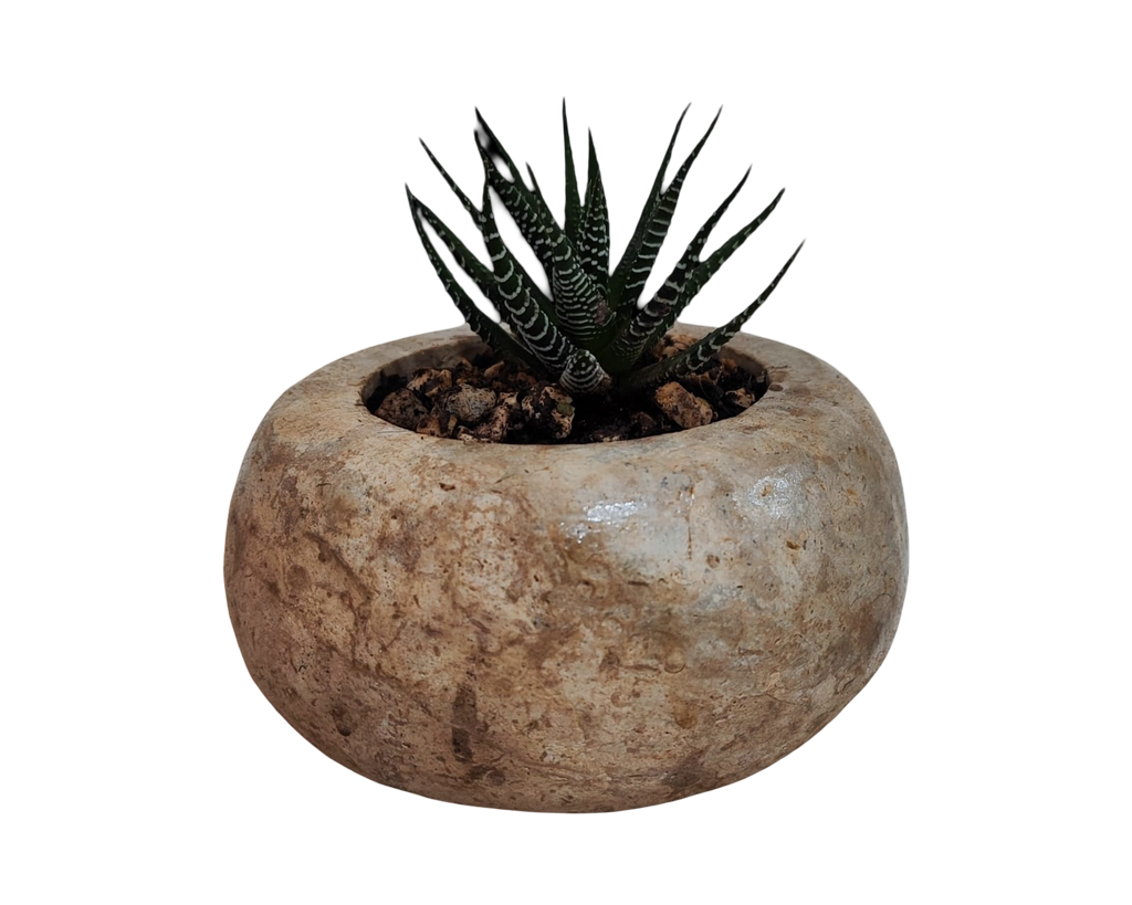 Maceta Redonda de Piedra Tallada a Mano